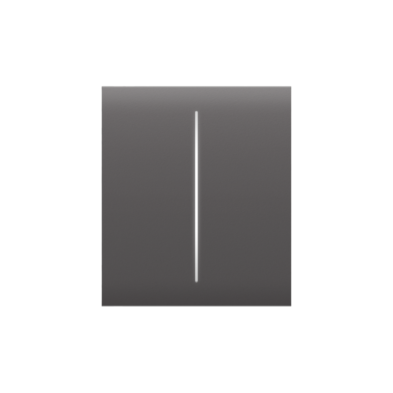 CenterButton (2-gang) Grau