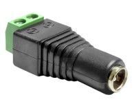 D-Z-Adapter-12V-DC2.5x5.5mm-Buchse