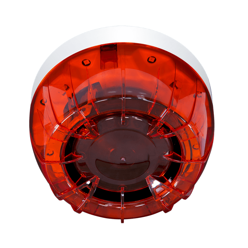 TF-IS01