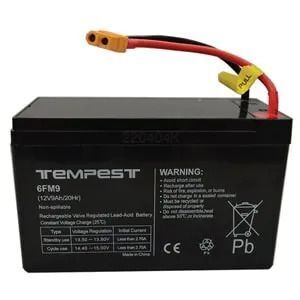 KIT Batterie (2 Stk.) BAT 300