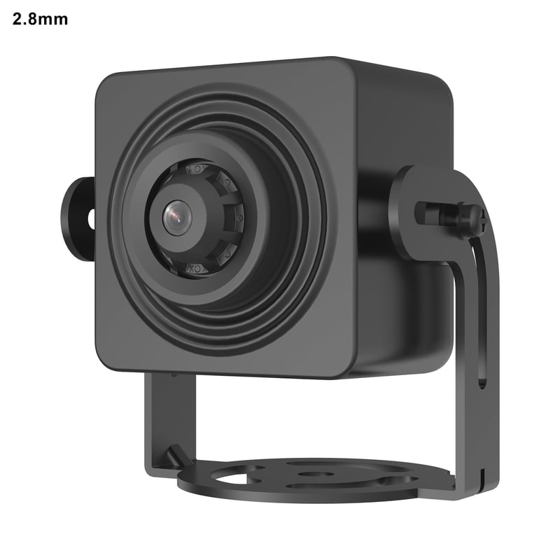 DS-2CD2D25G1-D/NF(2.8mm) 2-MP-IP-versteckt-Kamera mit Festbrennweite